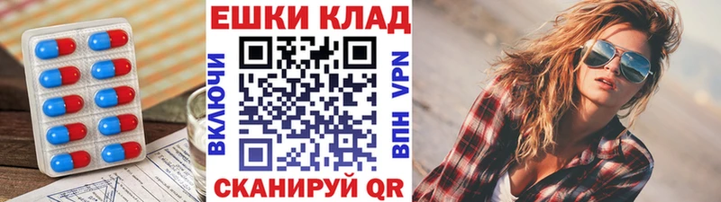 Ecstasy Punisher  Купить закладки  Галич 