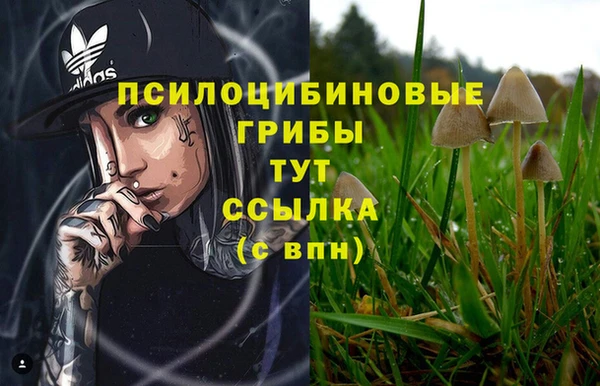 кристаллы Кодинск