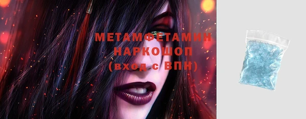 сатива Козловка