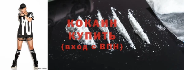 сатива Козловка