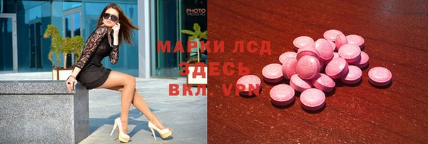 сатива Козловка