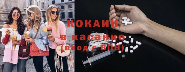сатива Козловка